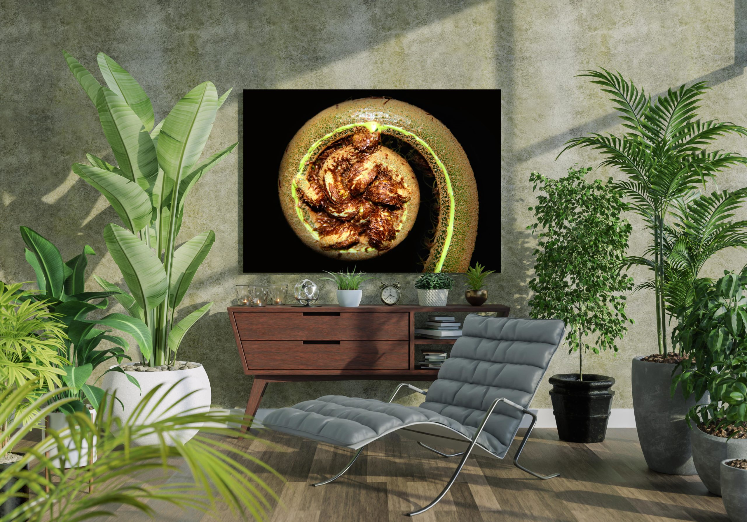 Farn Farn Acrylglas AluVerbund Bild