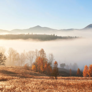 Wandbild Herbstlandschaft im Nebel