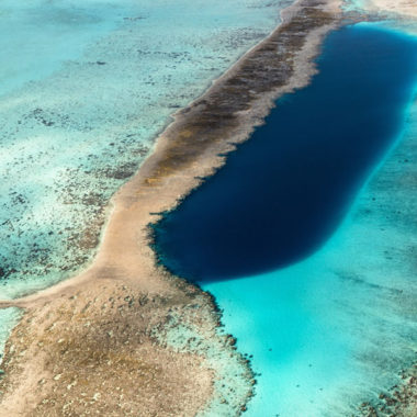 Wandbild Wilde Natur im Ozean