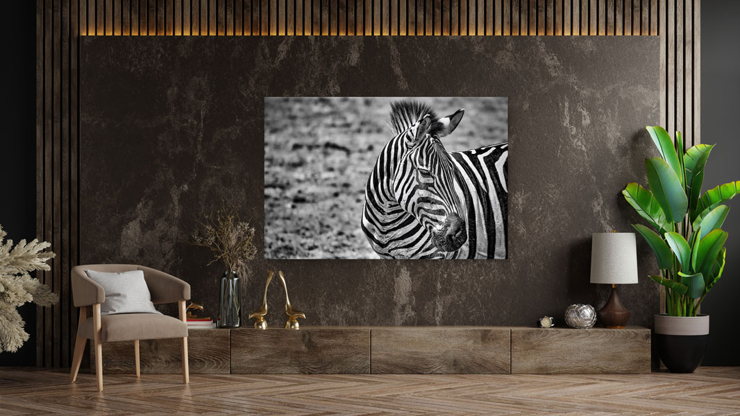 Zebra-im-Sonnenlicht_02 Zebra im Sonnenlicht 02