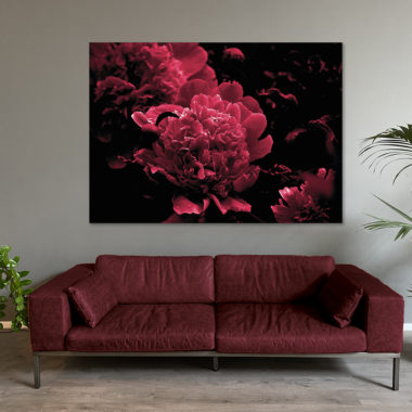 Wandbild Pfingstrose purpur auf schwarz im Wohnzimmer, Natur & Landschaft