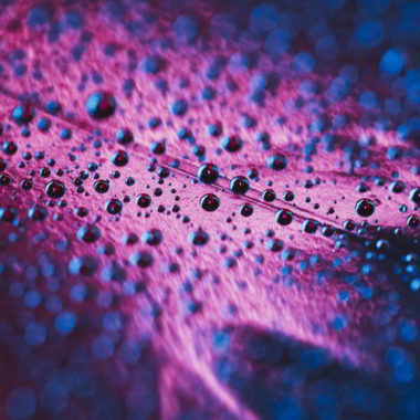 wandbild-blaue-wassertropfen-natur-abstrakt