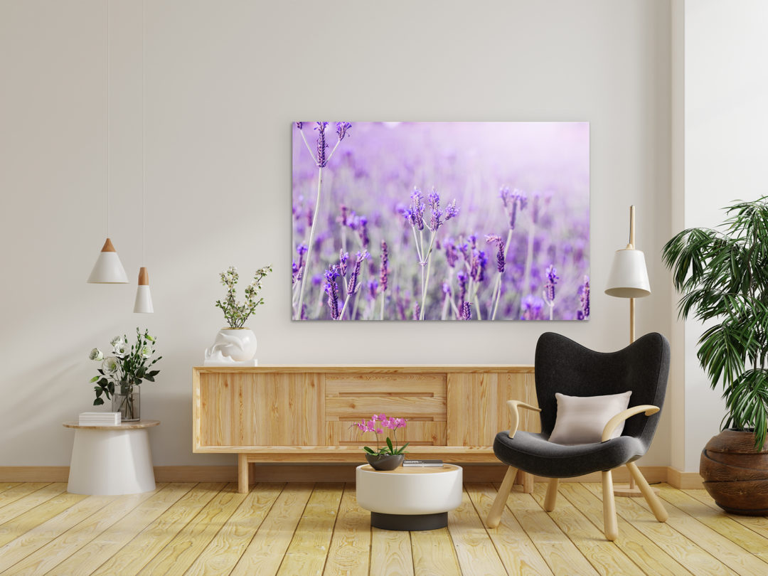 wandbild-lavendelfeld-natur-landschaft-wohnzimmer-schlafzimmer.jpg