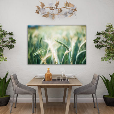 wandbild-getreide-im-sonnenschein-natur-landschaft-esszimmer