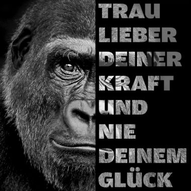 wandbild-gorilla-tiere-natur-schwarz-weiss