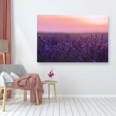Wandbild Biene im Lavendelfeld im Wohnzimmer