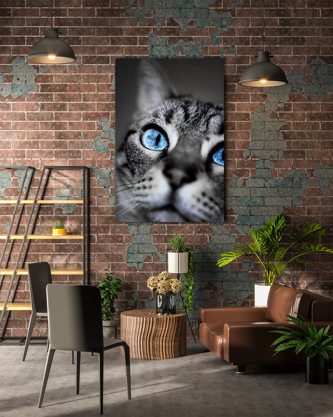 wandbild-blauaeuige-katze-tiere-natur-flur3-min wandbild-blauaeuige-katze-tiere-natur-flur3-min