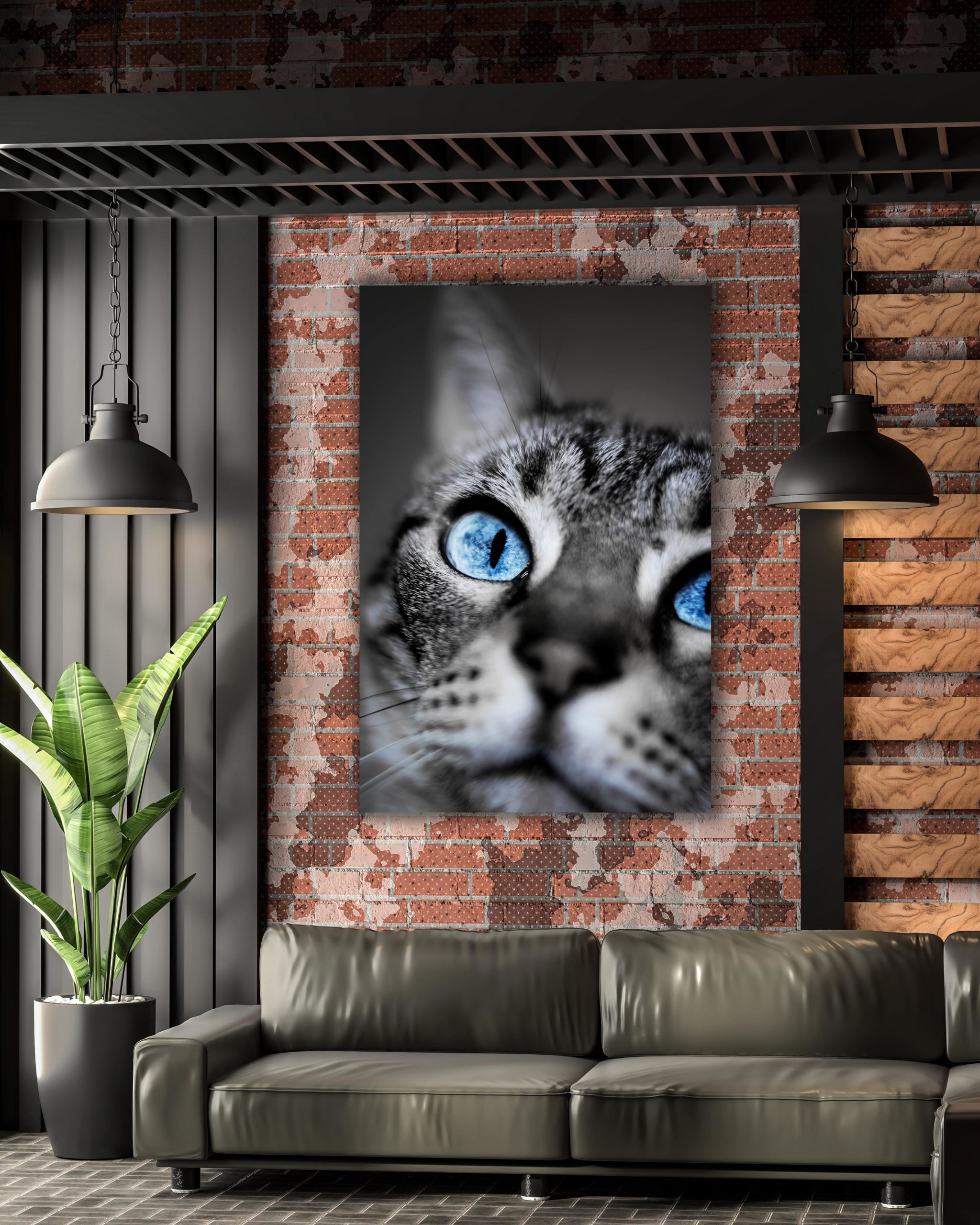 wandbild-blauaeuige-katze-tiere-natur-flur5-min wandbild-blauaeuige-katze-tiere-natur-flur5-min