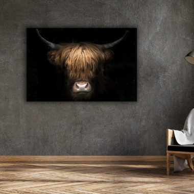 wandbild-bulle-tiere-natur-flur