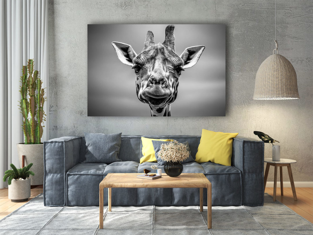 wandbild-giraffe-schwarz-weiss-natur-tiere-wohnzimmer