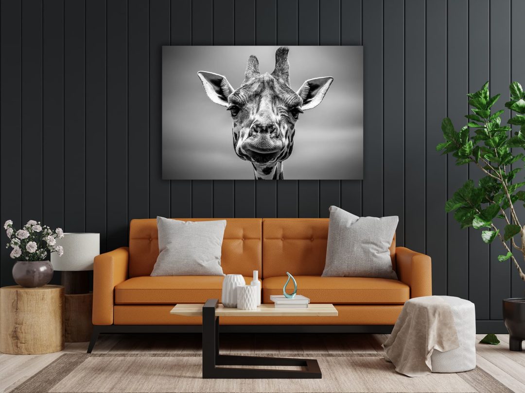 wandbild-giraffe-schwarz-weiss-natur-tiere-wohnzimmer2