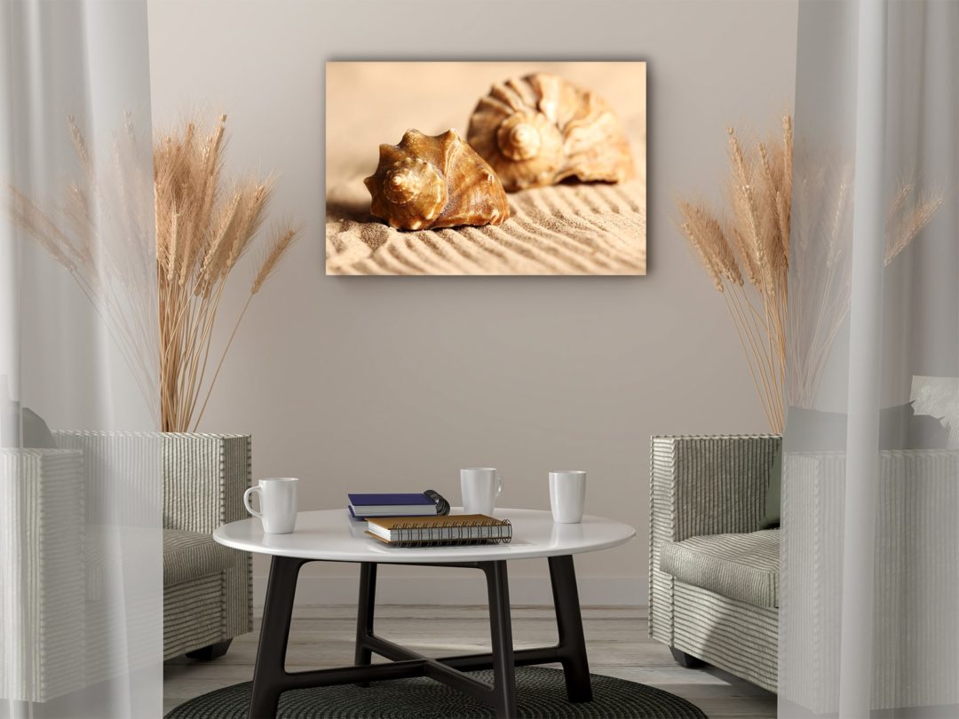 wandbild-muscheln-im-sand-natur-landschaft-flur-min