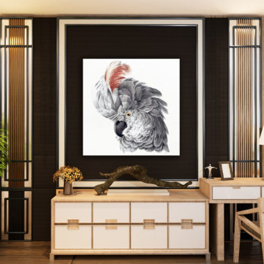 Wandbild Papagei im Flur, Illustration