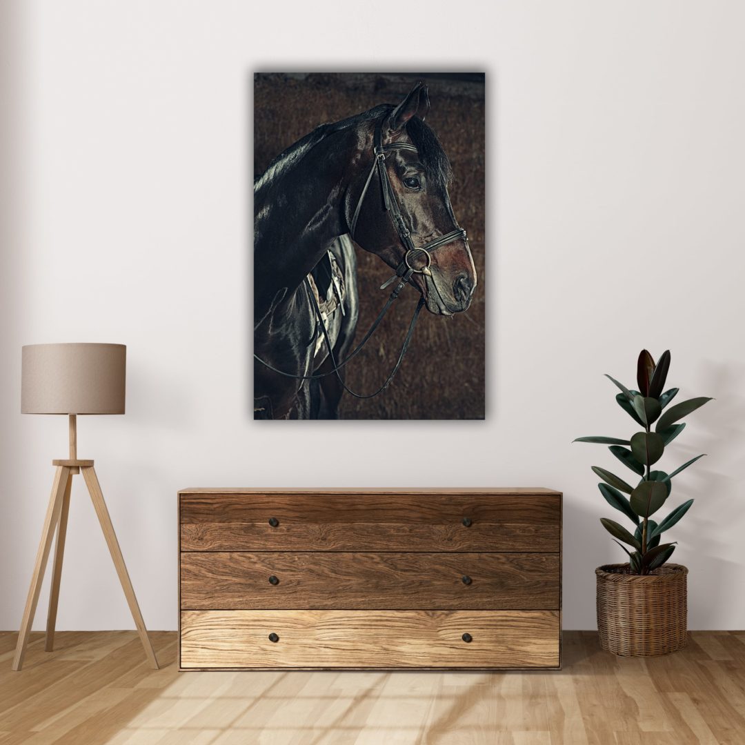 wandbild-pferd-tiere-flur1-min