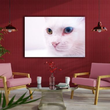 Wandbild rosa Katze im Wohnzimmer, Natur & Tiere