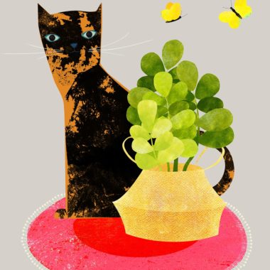 wandbild-schildpattkatze-tiere-illustration-min