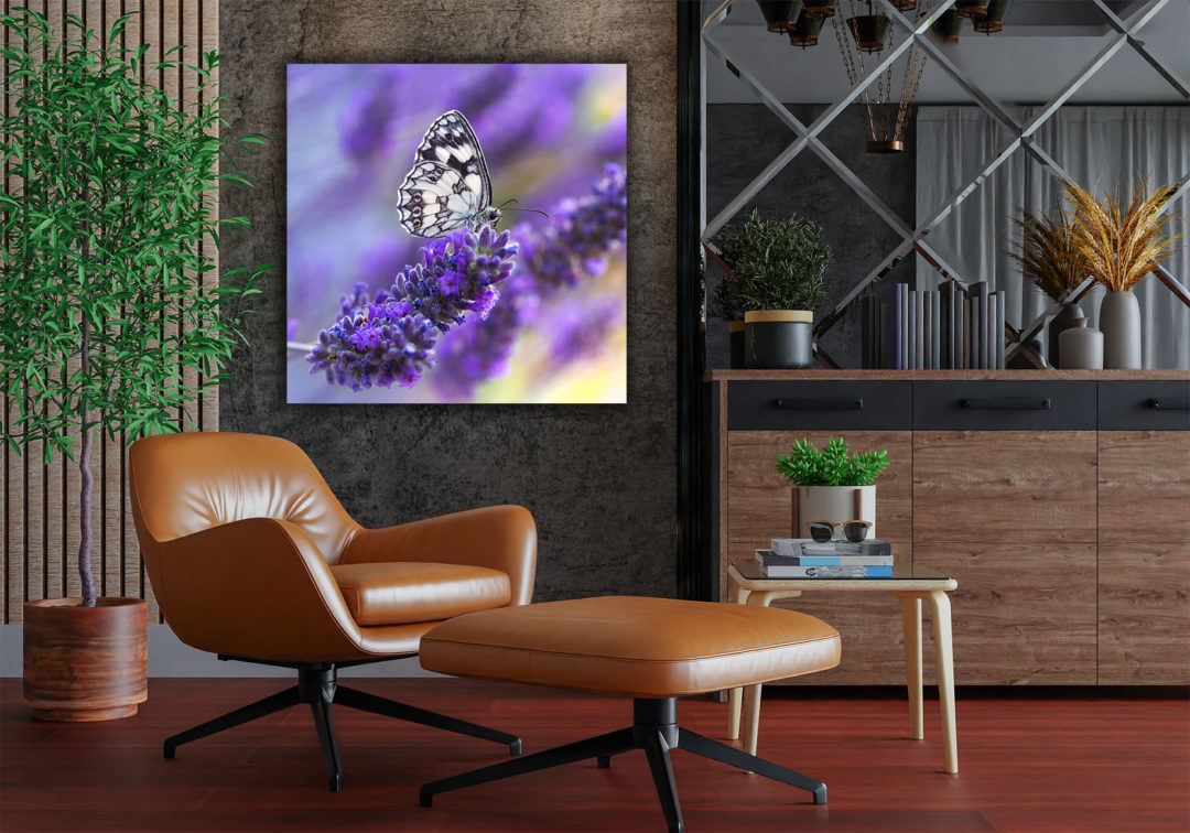 wandbild schmetterling natur landschaft wohnzimmer