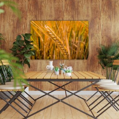 wandbild-weizenfeld-natur-landschaft-esszimmer3-min