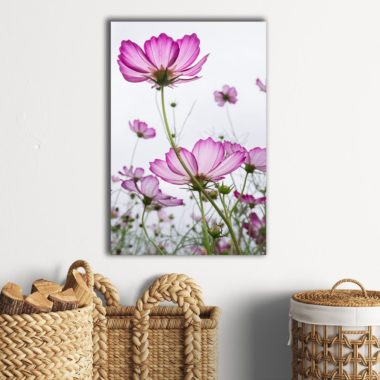 wandbild-zarte-Blumen-natur-tiere-flur