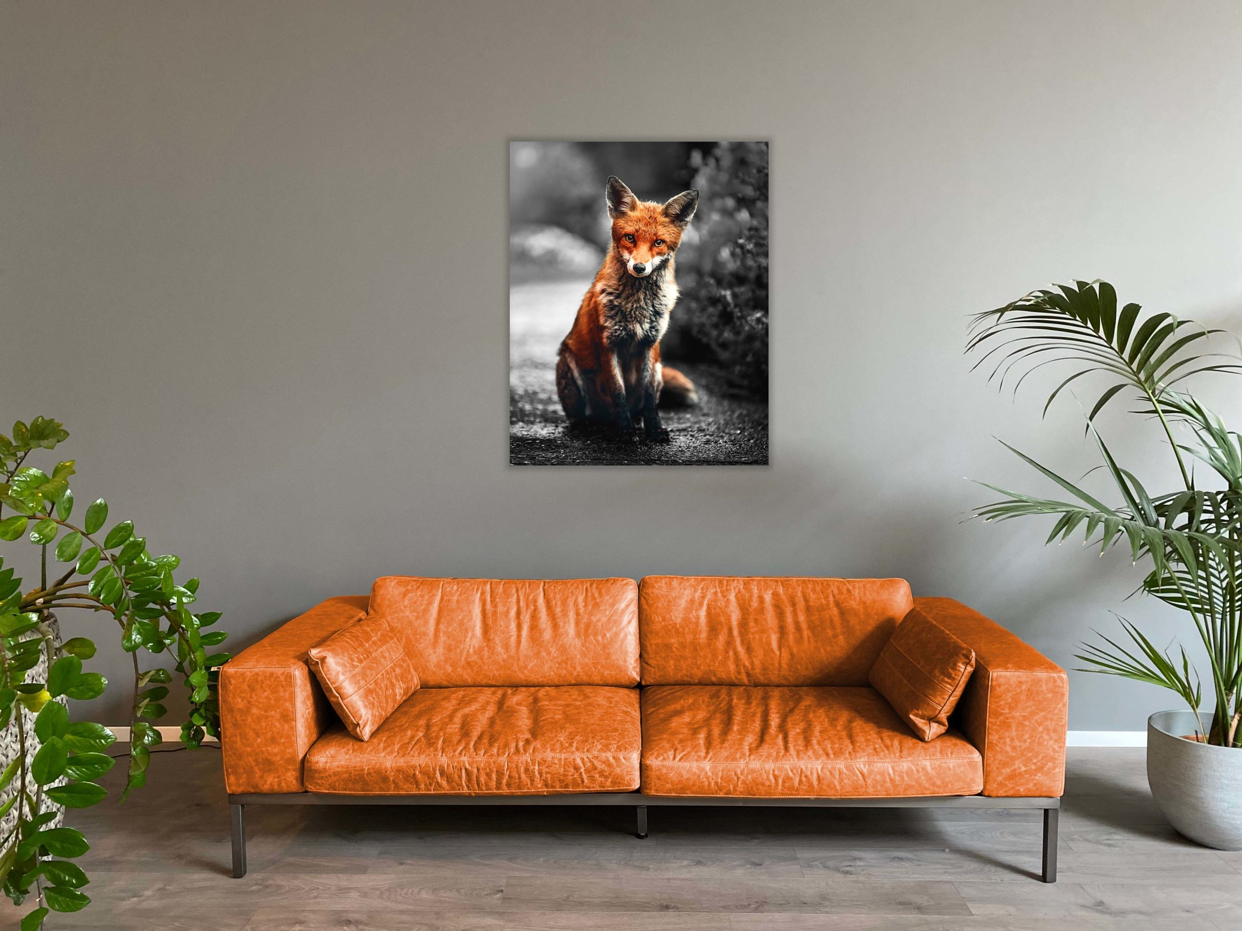 Wandbild Fuchs im Wohnzimmer, Natur & Tiere Wandbild Fuchs im Wohnzimmer, Natur & Tiere