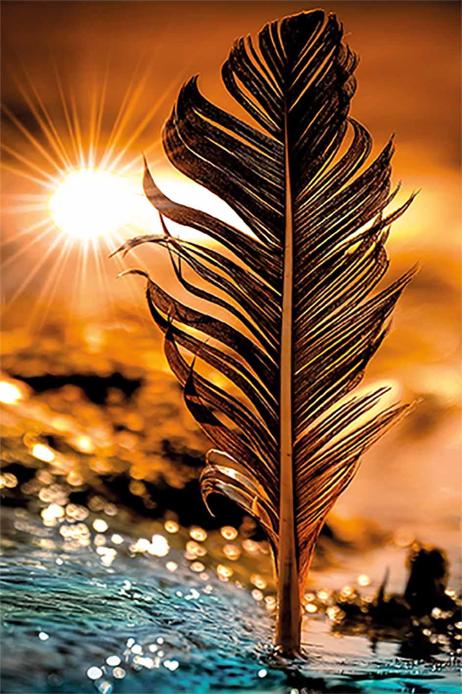 Wandbild Feder am Meer, Natur, Carola Haese-original-web wandbild-feder-am-meer-natur-carola-haese-original-web.jpg