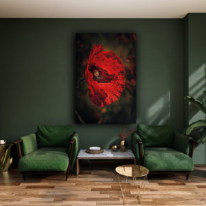 wandbild feuer mohn bluete natur carola haese wohnzimmer