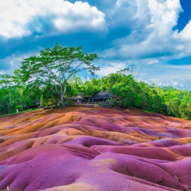 Wandbild Lila Erde, Natur & Landschaft