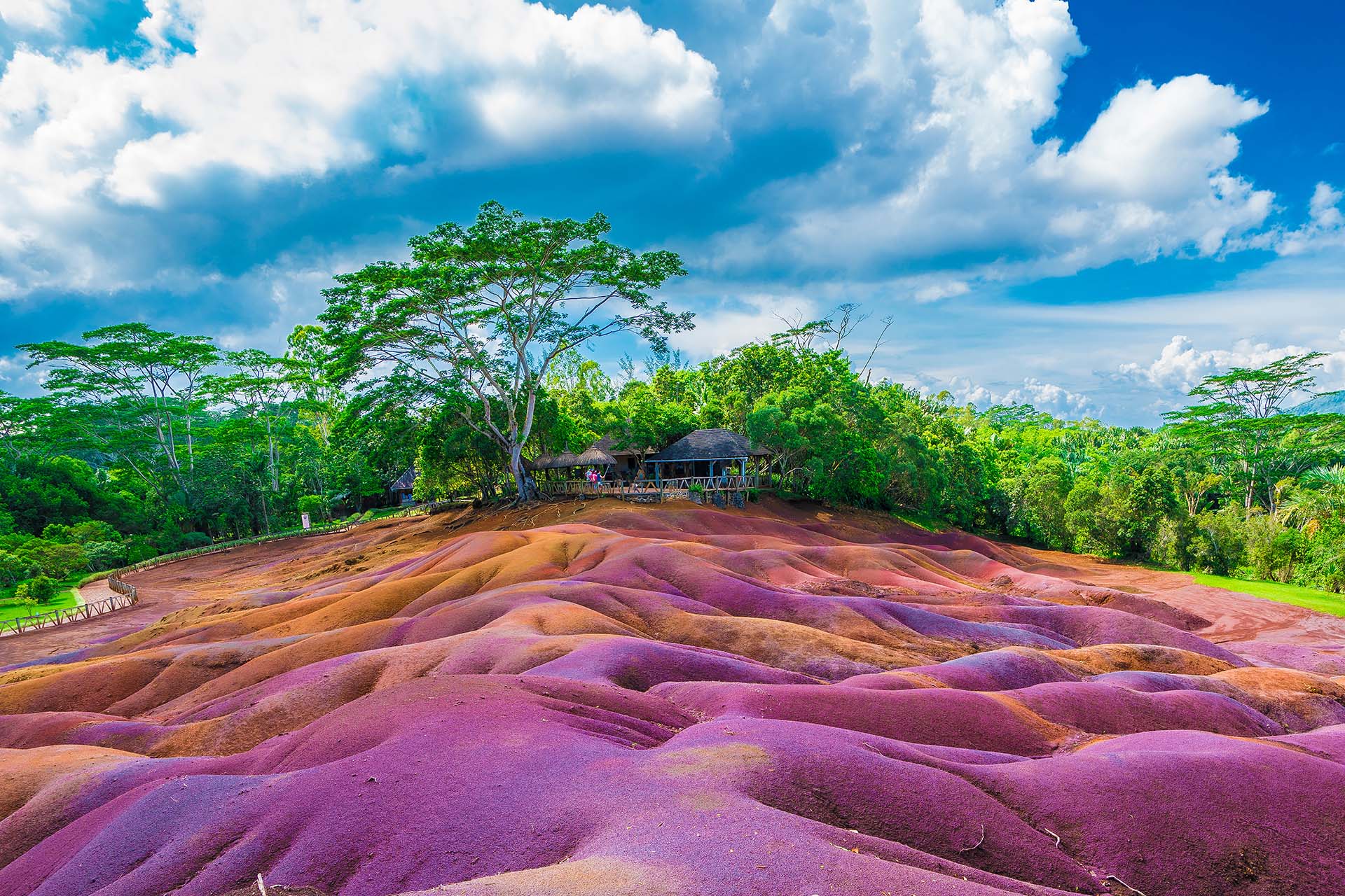 Wandbild Lila Erde, Natur & Landschaft Wandbild Lila Erde, Natur & Landschaft