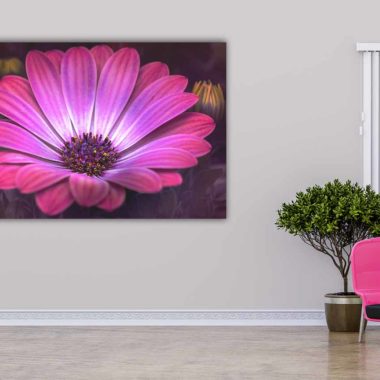 Wandbild Rosa Blüte im Flur, Natur & Landschaft