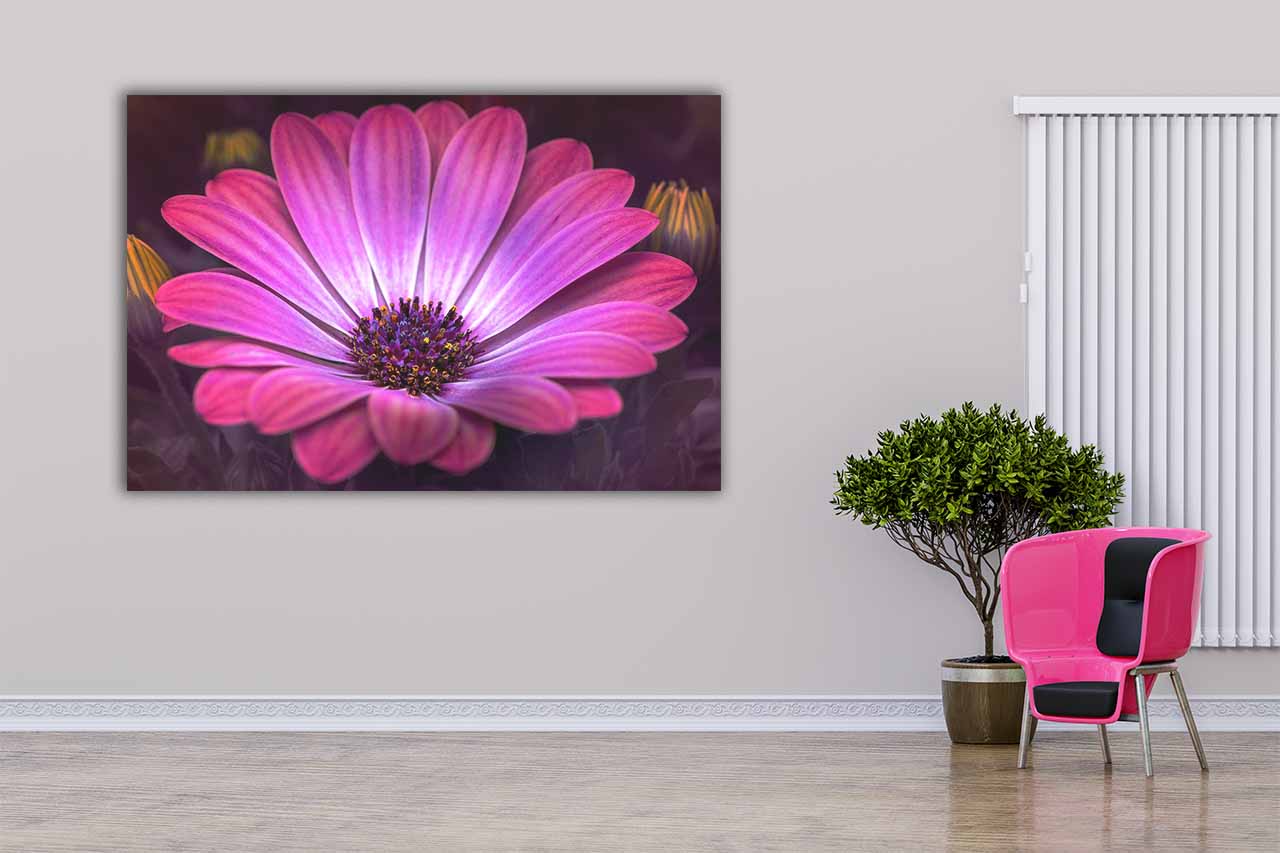 Wandbild Rosa Blüte im Flur, Natur & Landschaft Wandbild Rosa Blüte im Flur, Natur & Landschaft