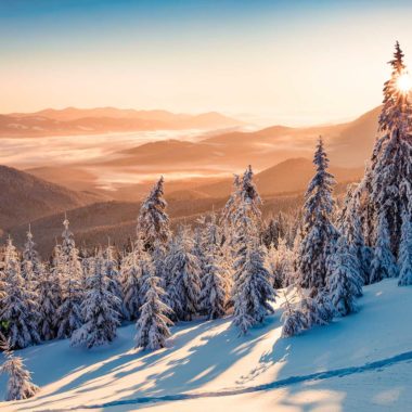 Wandbild Winterwald mit Bergen, Natur & Landschaft