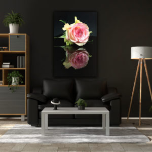 wandbild gespiegelte rose natur hanni huelsmann wohnzimmer scaled