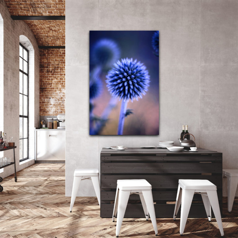 wandbild kugeldistel natur sabine schibofski esszimmer