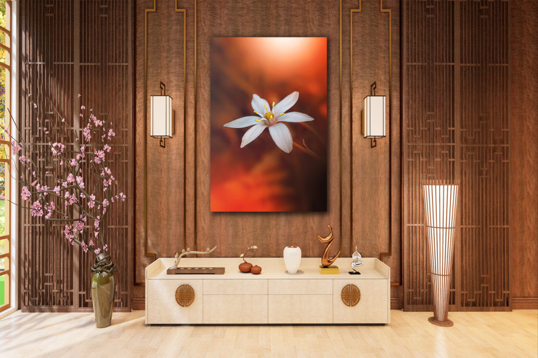 Wandbild Ornithogalum Flur