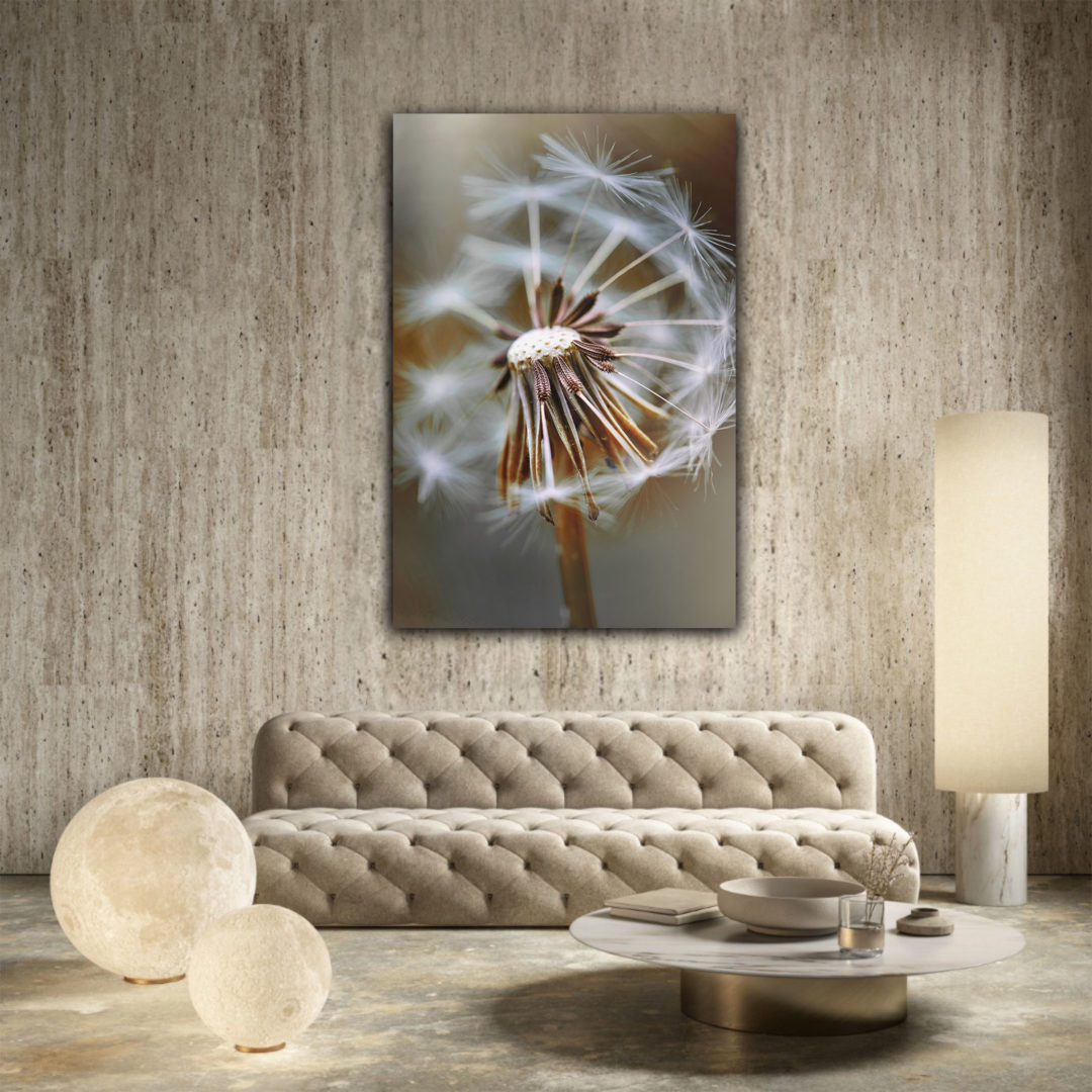 wandbild pusteblume natur sabine schiebofski flur