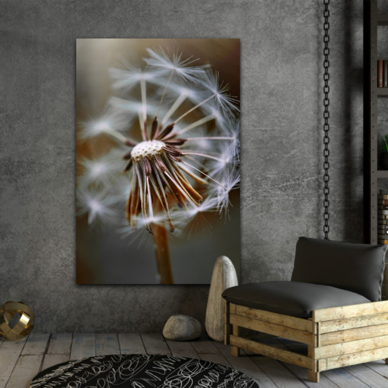 wandbild pusteblume natur sabine schiebofski wohnzimmer