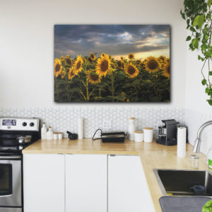 wandbild sonnenblumen natur landschaft anke steffens kueche