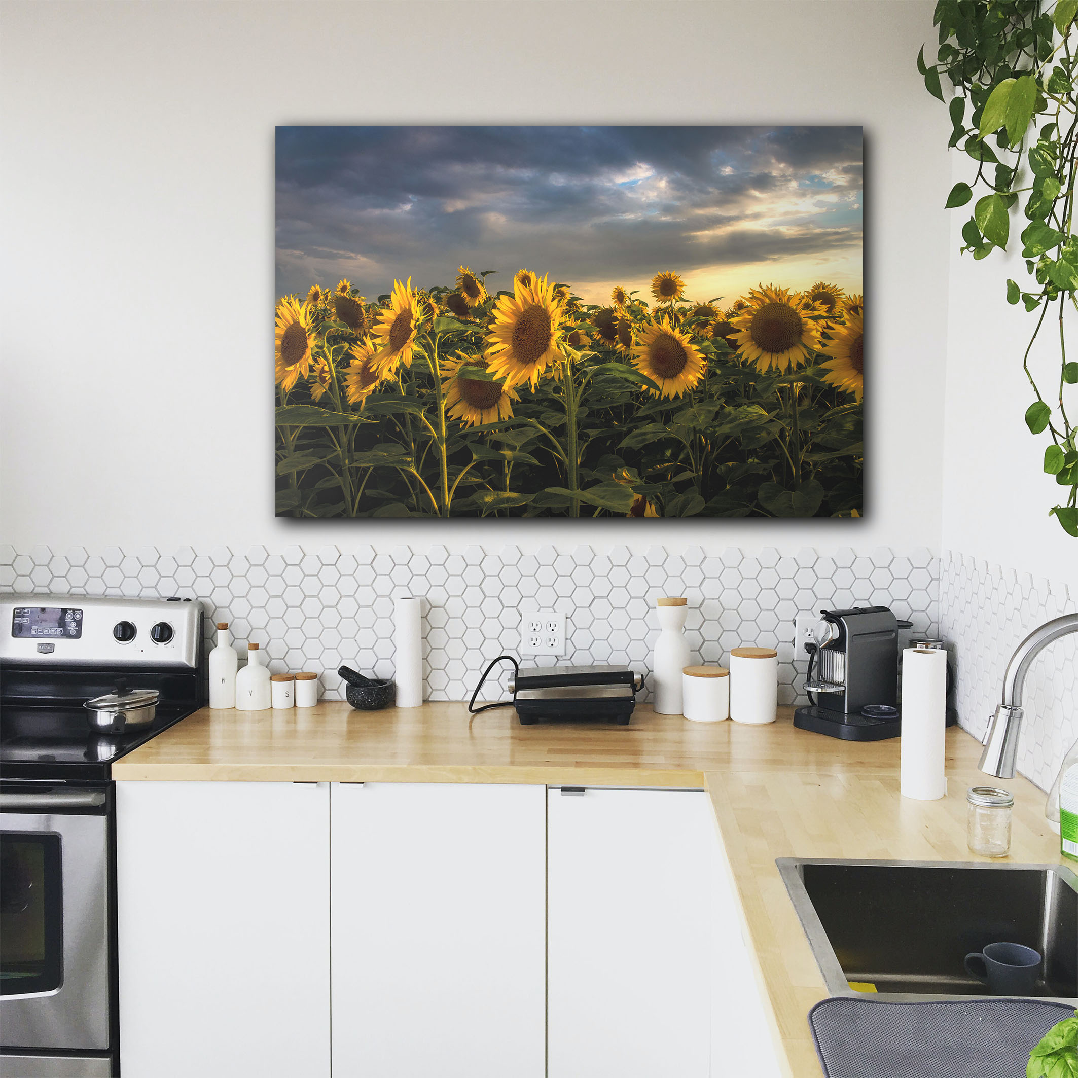 Wandbild Sonnenblumen Küche