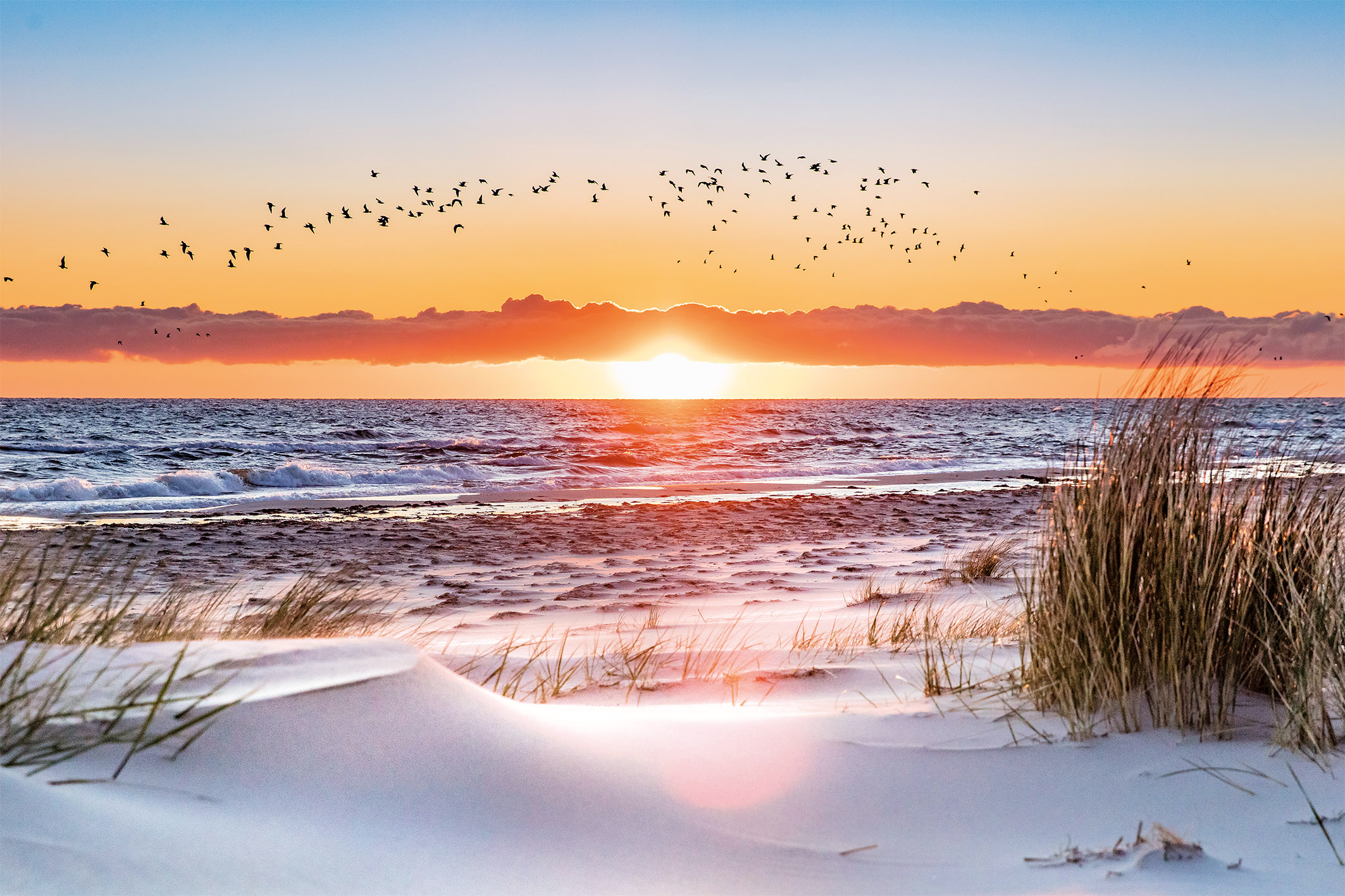 Wandbild Strand und Meer im Winter Wandbild Strand und Meer