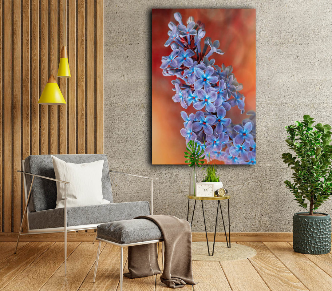 Wandbild Syringa Vulgaris Flur