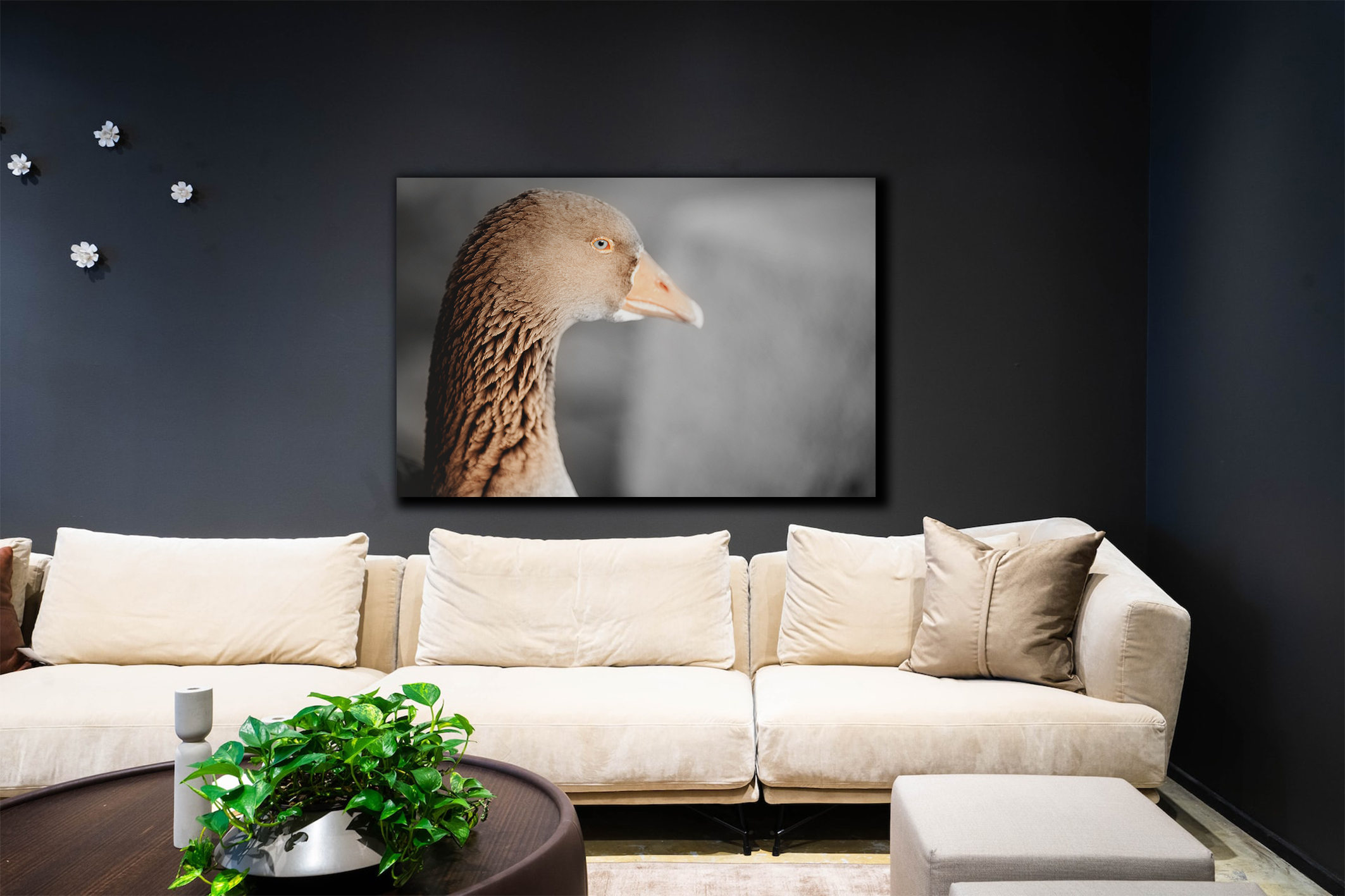 wandbild-graue-gans-natur-tiere-wohnzimmer Wandbild Graue Gans - Wohnzimmer