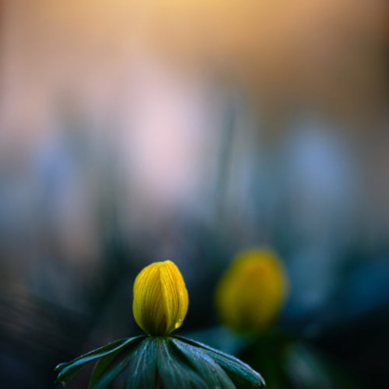 Wandbild Dancing Queen