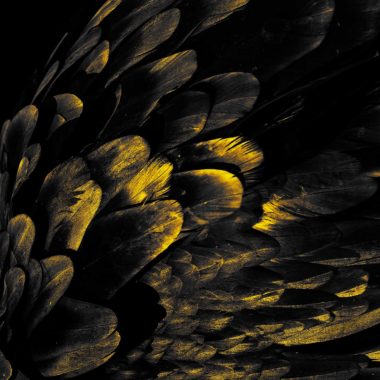 Wandbild Goldstaubfedern