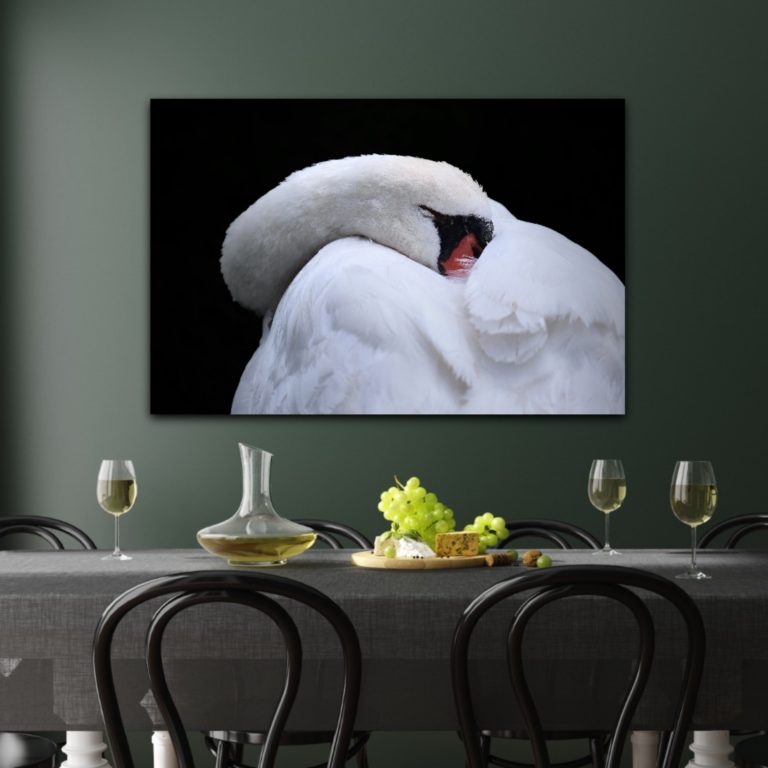wandbild schwan tiere natur sabine schiebofski esszimmer