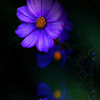 Wandbild Blue reflection