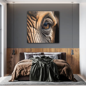 wandbild elephant eye tiere natur claus unterberg schlafzimmer