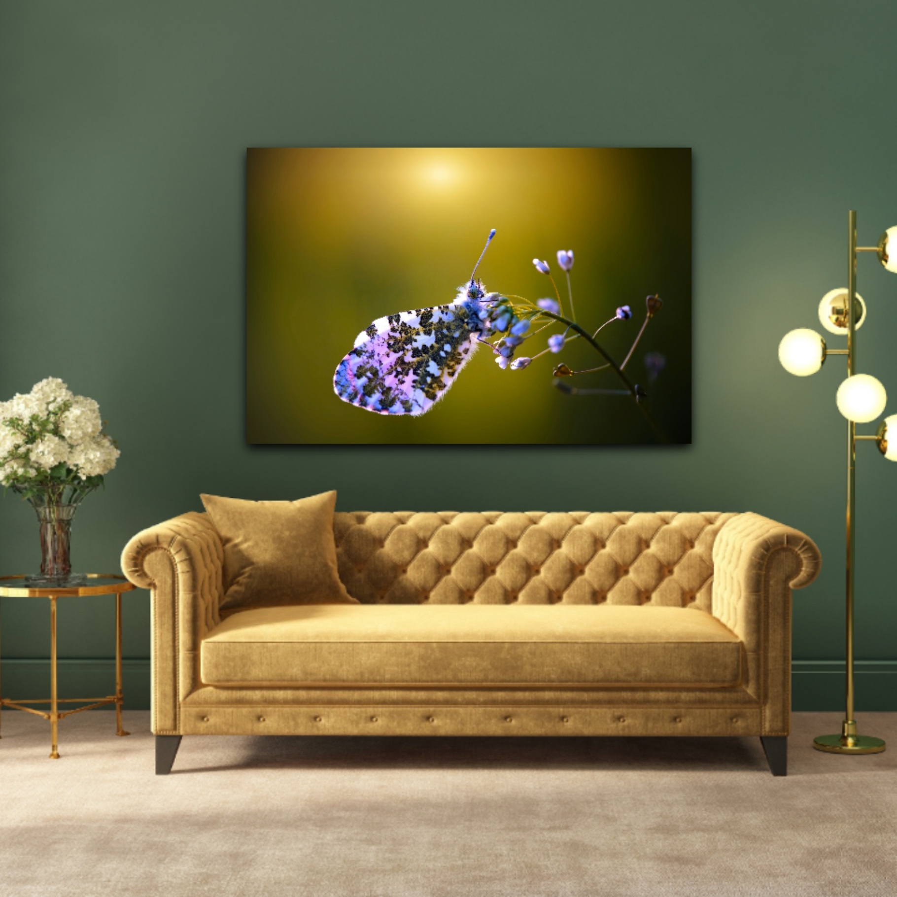 Wandbild Aurorafalter - Wohnzimmer