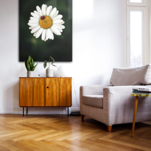 wandbild margerite moodyflowers wohnzimmer