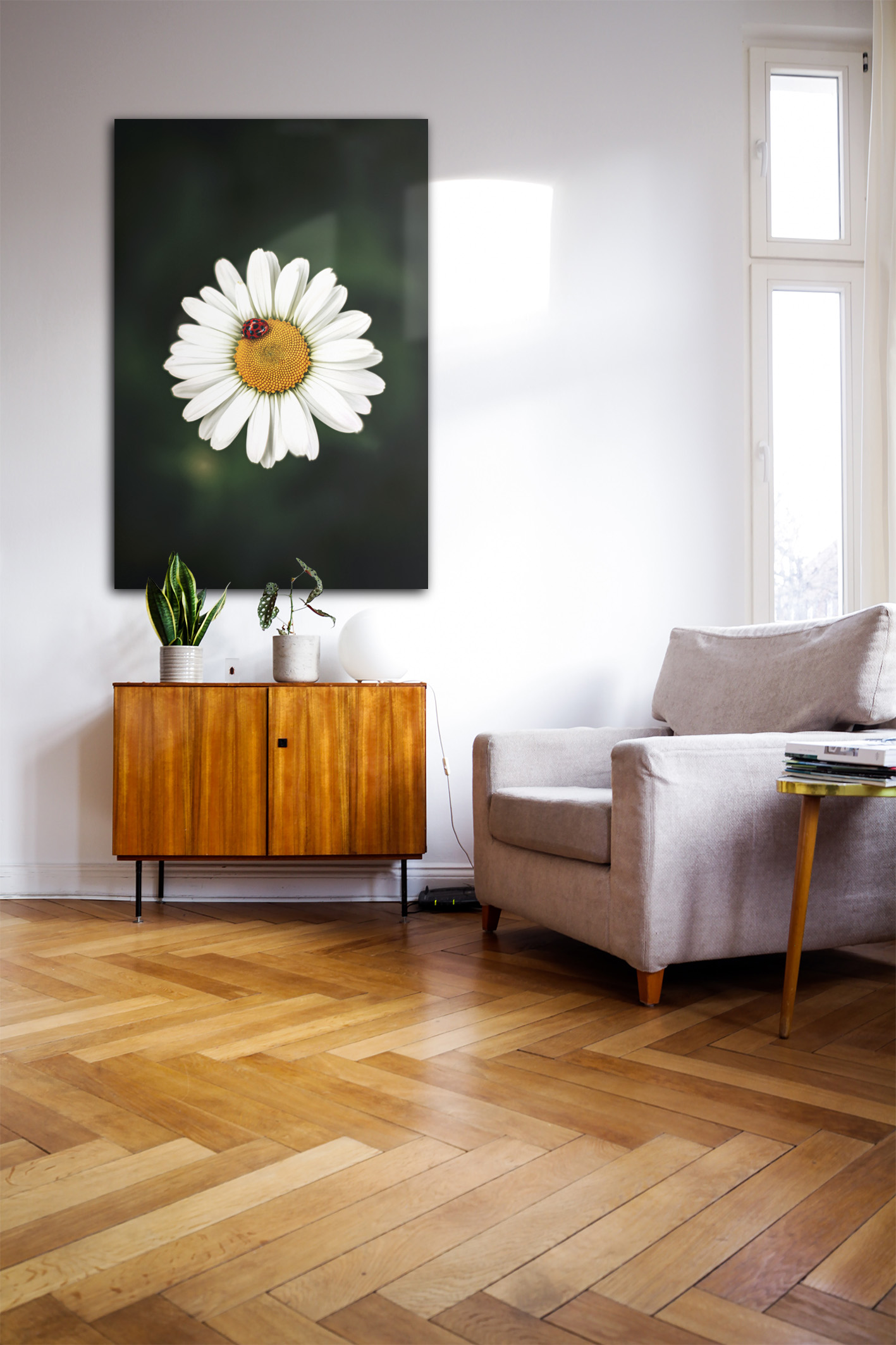 Wandbild Margerite - Wohnzimmer