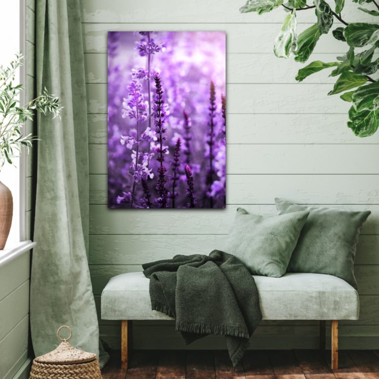 wandbild salvia nemorosa sabine schiebofski flur 2